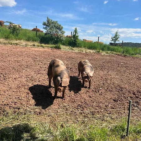 בית אירוח Auf Dem Scheuerhof וויטליך