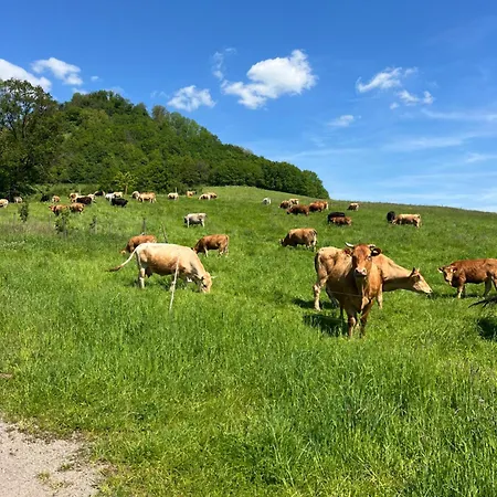 Auf Dem Scheuerhof בית אירוח
