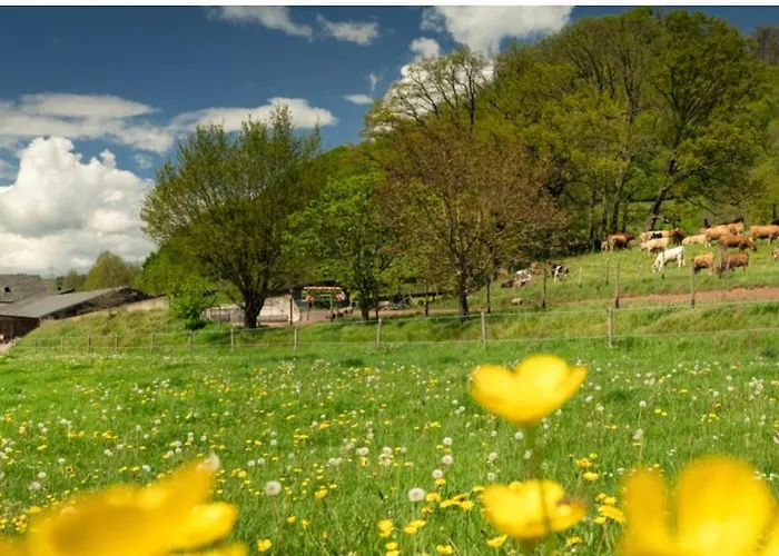 Auf Dem Scheuerhof *