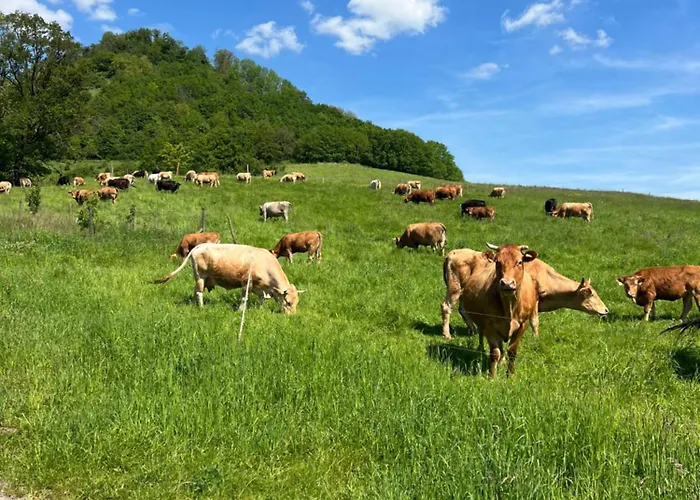 Auf Dem Scheuerhof Kwatera prywatna